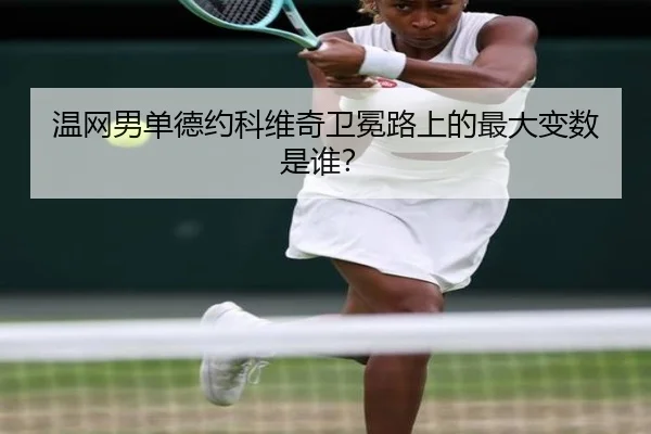 温网男单德约科维奇卫冕路上的最大变数是谁？